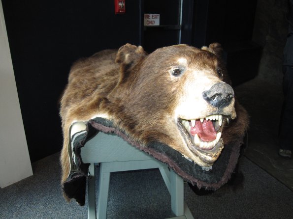 Alaska_Cruise_2013_209