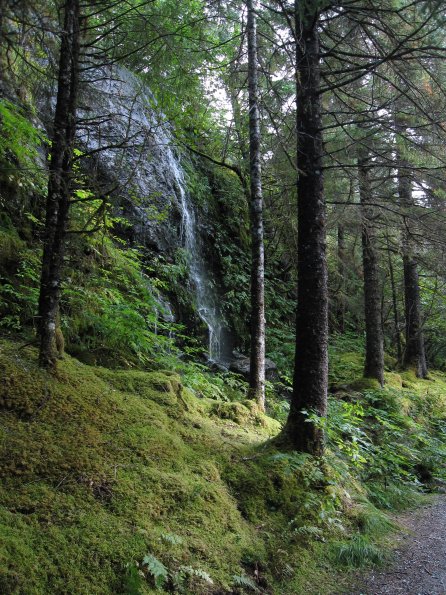 Alaska_Cruise_2013_212