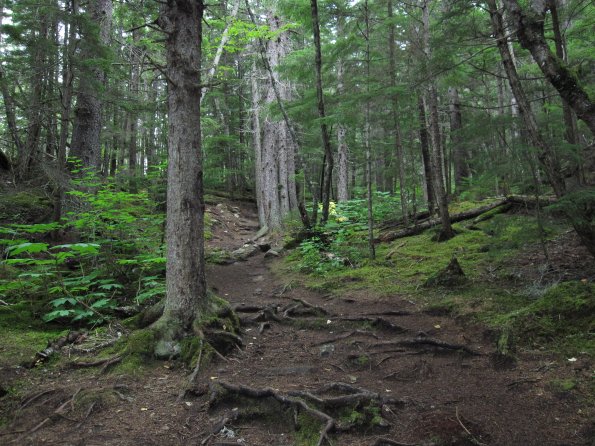 Alaska_Cruise_2013_259