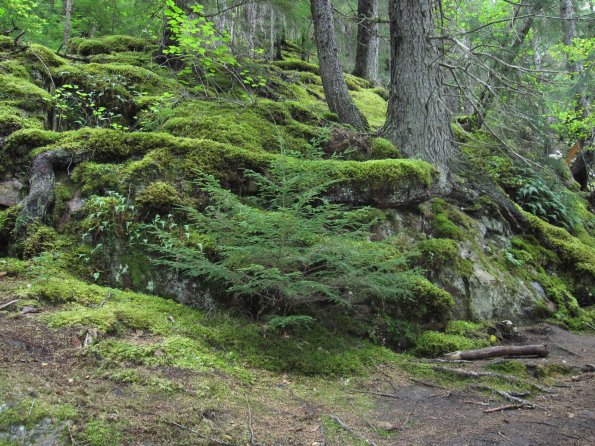 Alaska_Cruise_2013_260