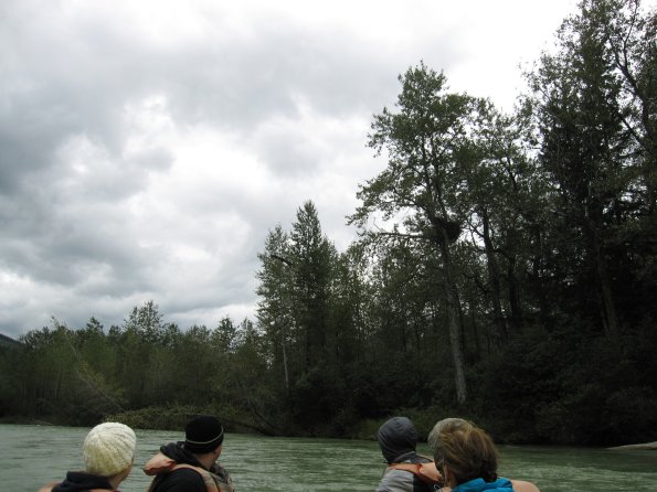 Alaska_Cruise_2013_270