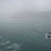 Alaska_Cruise_2013_338
