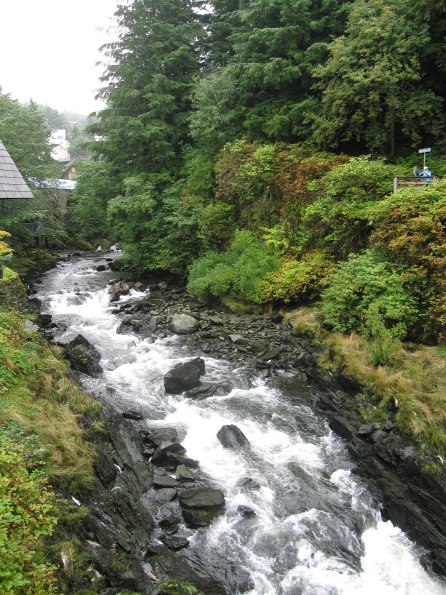 Alaska_Cruise_2013_439