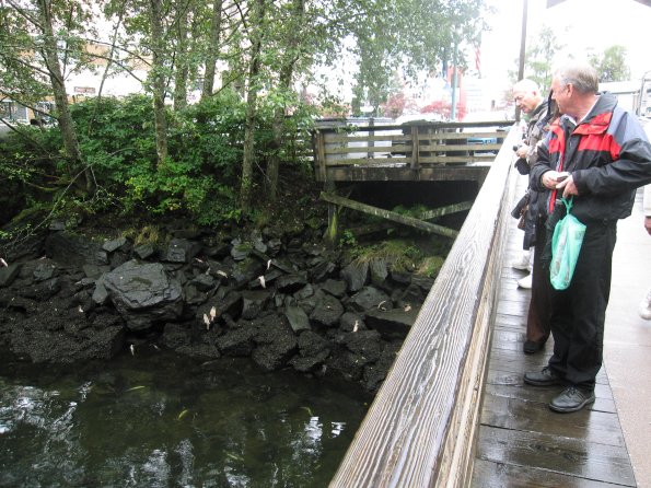 Alaska_Cruise_2013_445