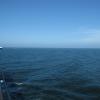 Alaska_Cruise_2013_524