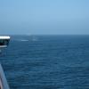 Alaska_Cruise_2013_527