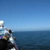 Alaska_Cruise_2013_529