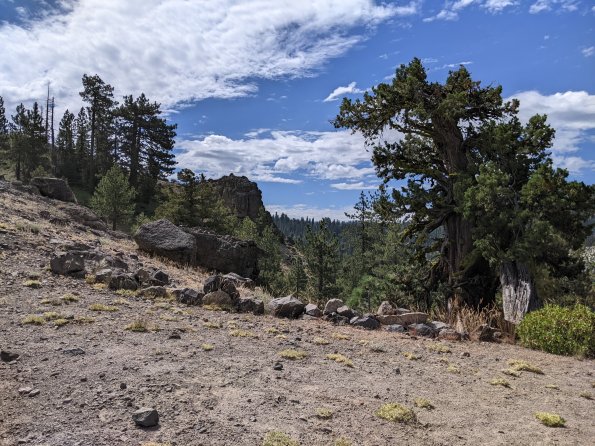 PXL_20230811_174149499