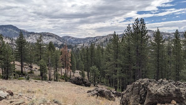 PXL_20230811_181750128