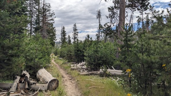 PXL_20230811_182745202