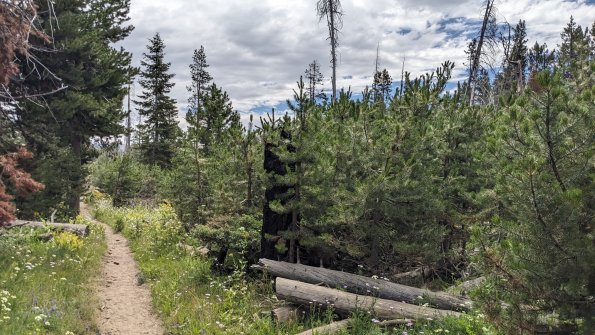 PXL_20230811_182814855