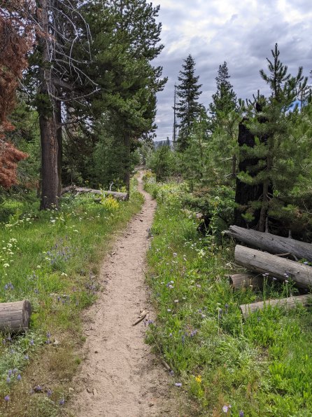 PXL_20230811_182845224