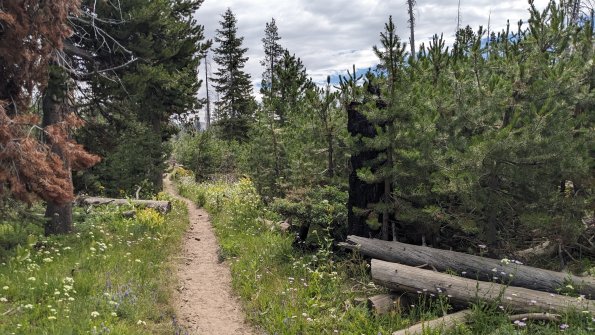 PXL_20230811_182851669