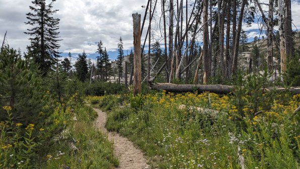 PXL_20230811_183306281