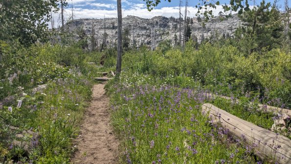 PXL_20230811_190137996