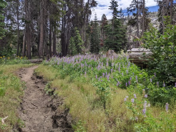 PXL_20230811_191733717