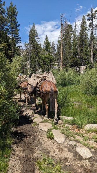 PXL_20230811_201800808