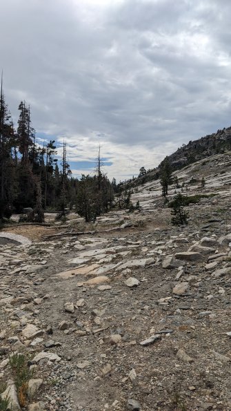 PXL_20230811_213712694