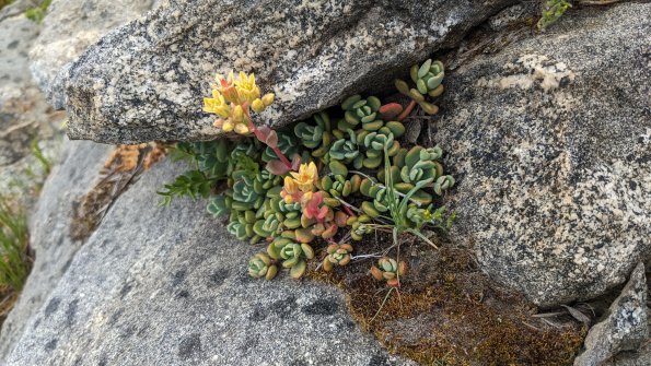 PXL_20230811_220604601