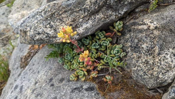 PXL_20230811_220607917