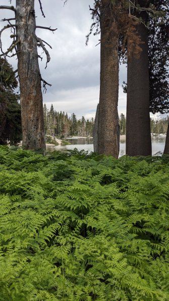 PXL_20230811_233333883