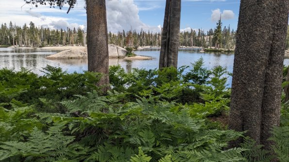 PXL_20230811_233458969