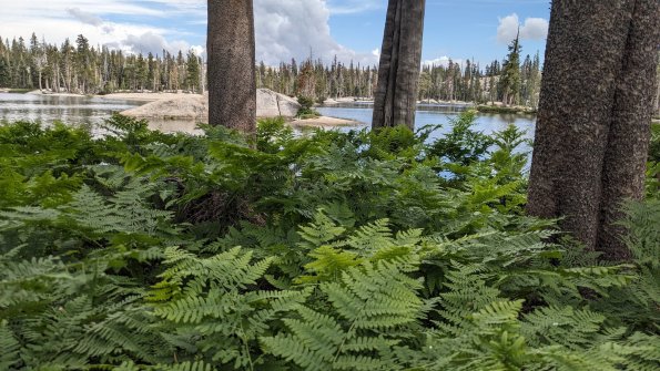 PXL_20230811_233504663