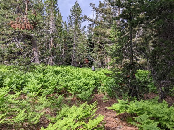 PXL_20230811_233618919