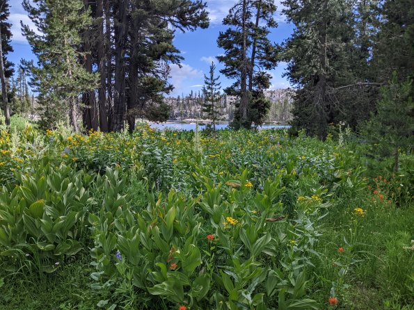 PXL_20230811_233834865