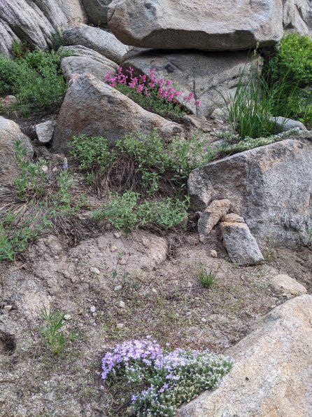 PXL_20230811_235048963