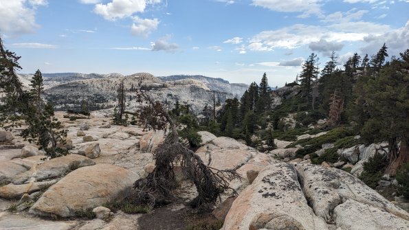 PXL_20230811_235542194