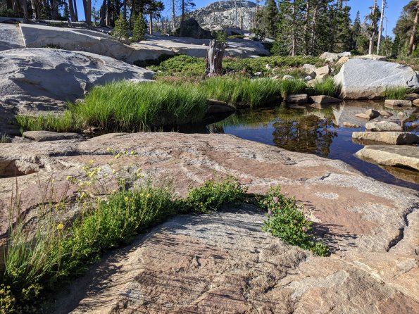 PXL_20230812_154711304