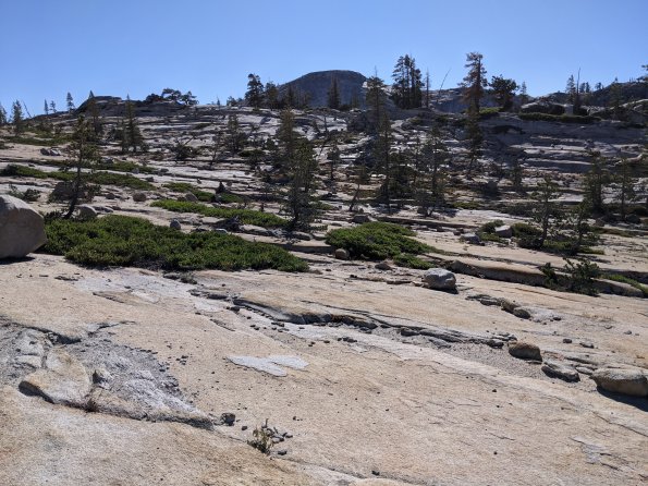 PXL_20230812_160726437