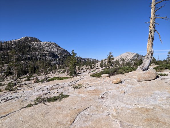 PXL_20230812_160733142