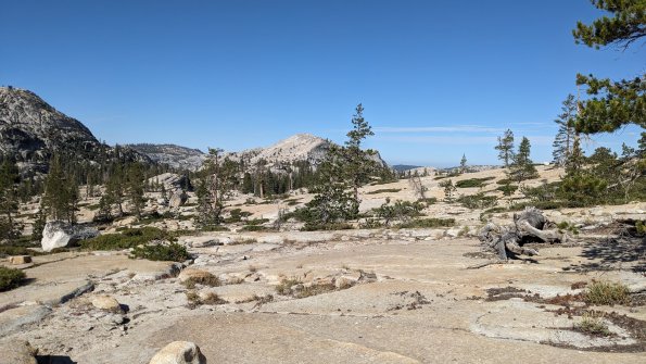 PXL_20230812_161013259