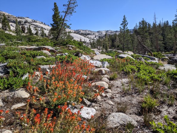 PXL_20230812_162238843