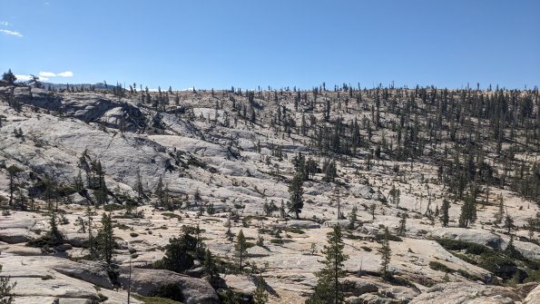 PXL_20230812_170927801