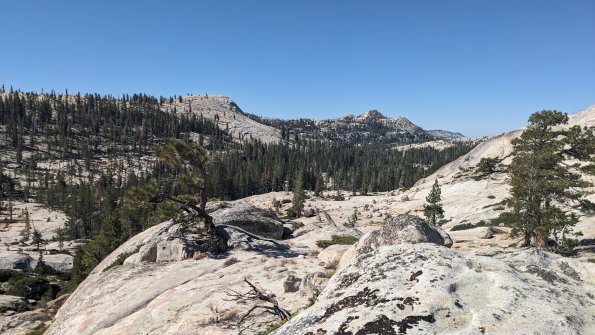 PXL_20230812_170930923