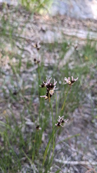 PXL_20230812_180102854