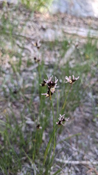 PXL_20230812_180103946