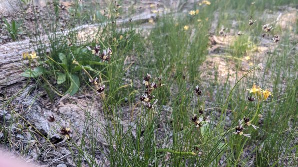 PXL_20230812_180109819