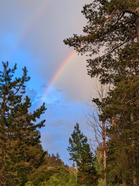 PXL_20230813_024857475