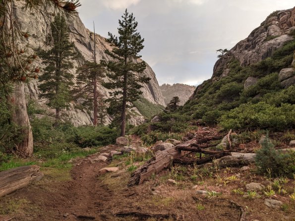 PXL_20230813_024915039