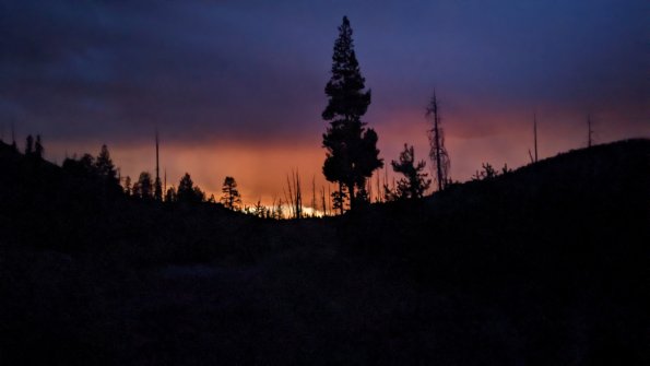 PXL_20230813_034052598.NIGHT