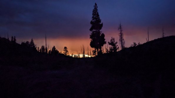 PXL_20230813_034106627.NIGHT