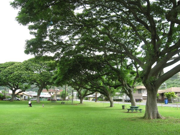 Hawaii_Cruise_2013_056