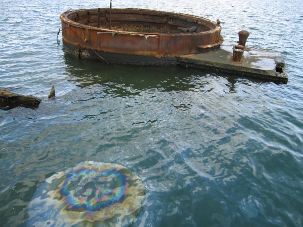 Hawaii_Cruise_2013_073