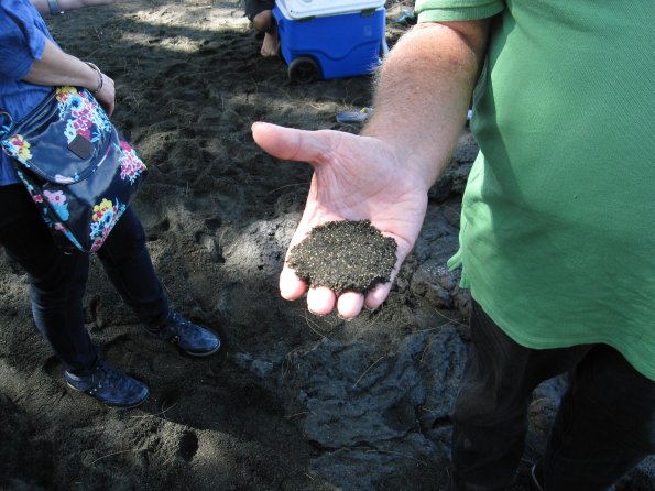 Hawaii_Cruise_2013_150