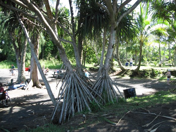 Hawaii_Cruise_2013_152