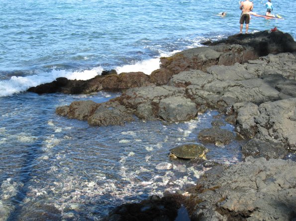 Hawaii_Cruise_2013_155